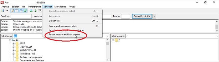 ver archivos ocultos en filezilla