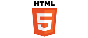 section html5