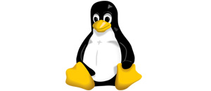 Buscar y eliminar archivos por tipo desde la consola en Linux