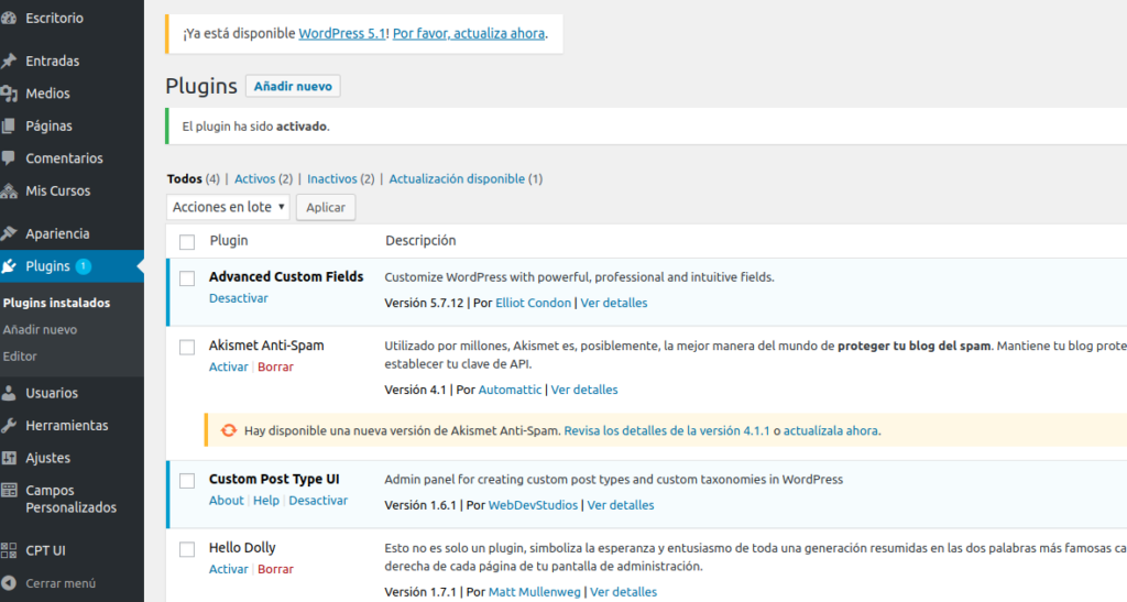 Cómo crear Custom Fields en WordPress